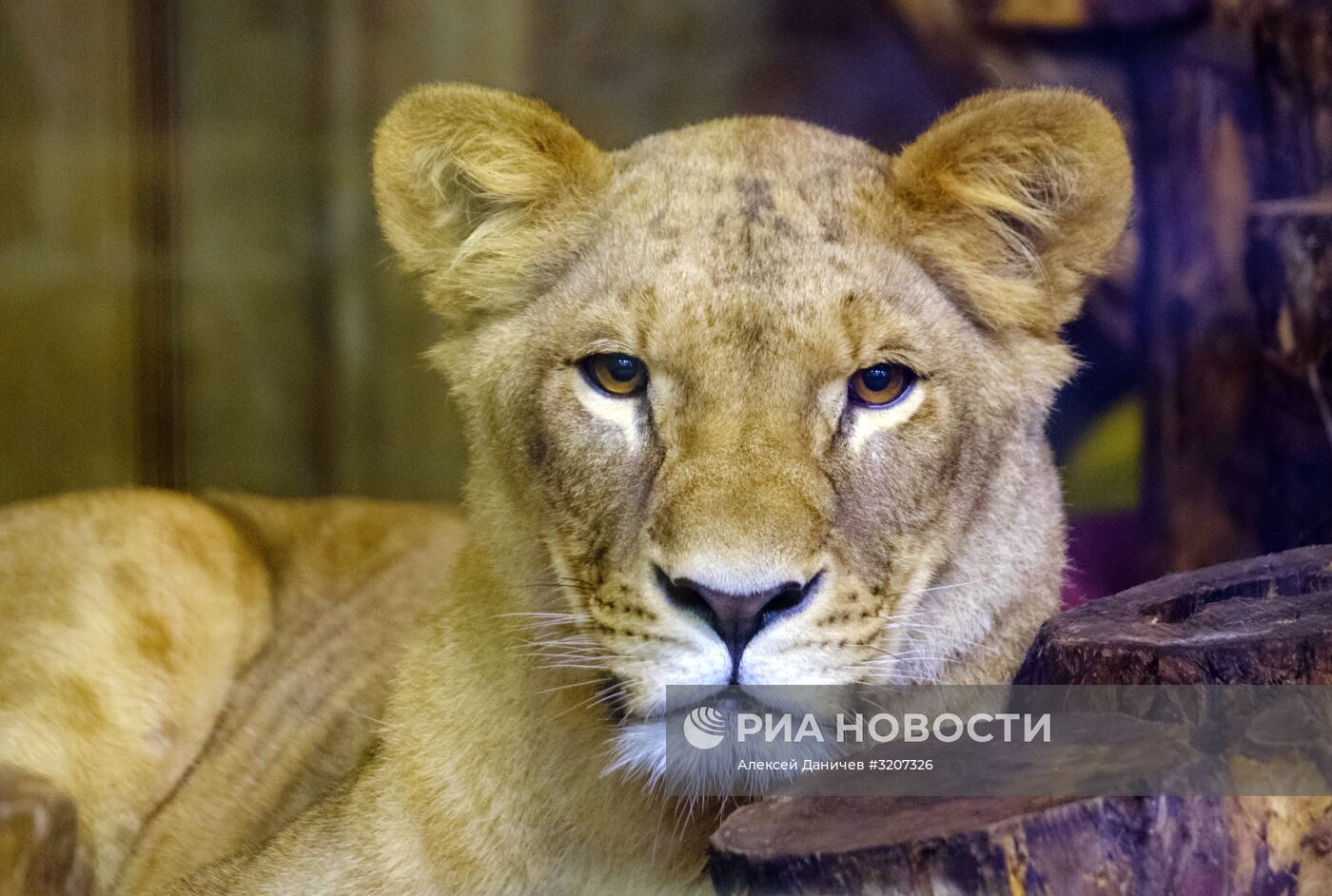 Ленинградский зоопарк