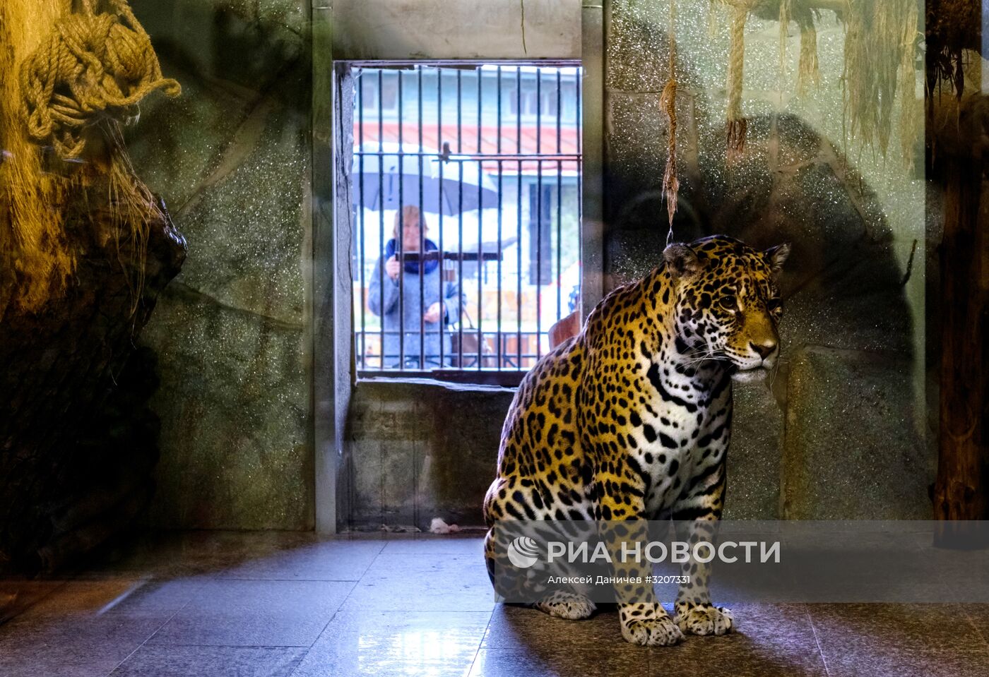 Ленинградский зоопарк