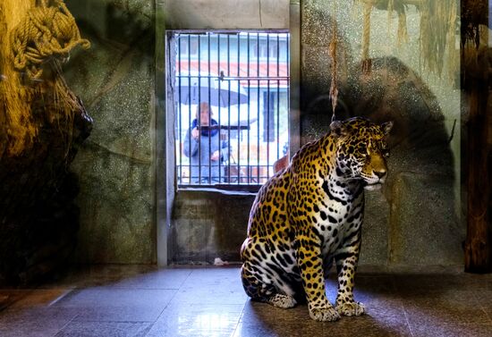 Ленинградский зоопарк