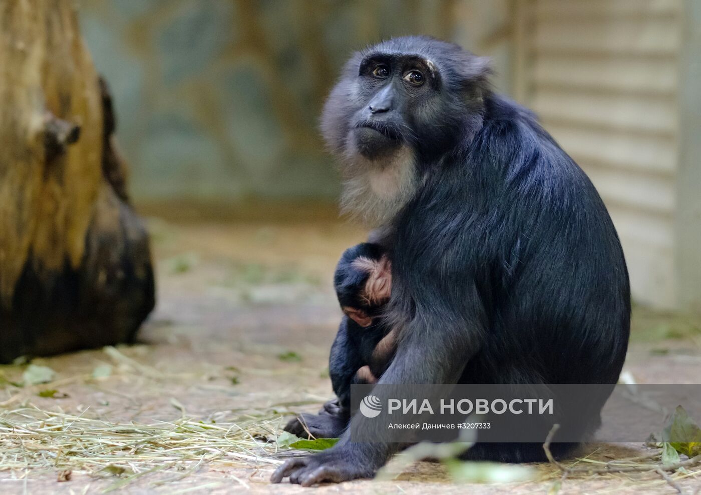 Ленинградский зоопарк