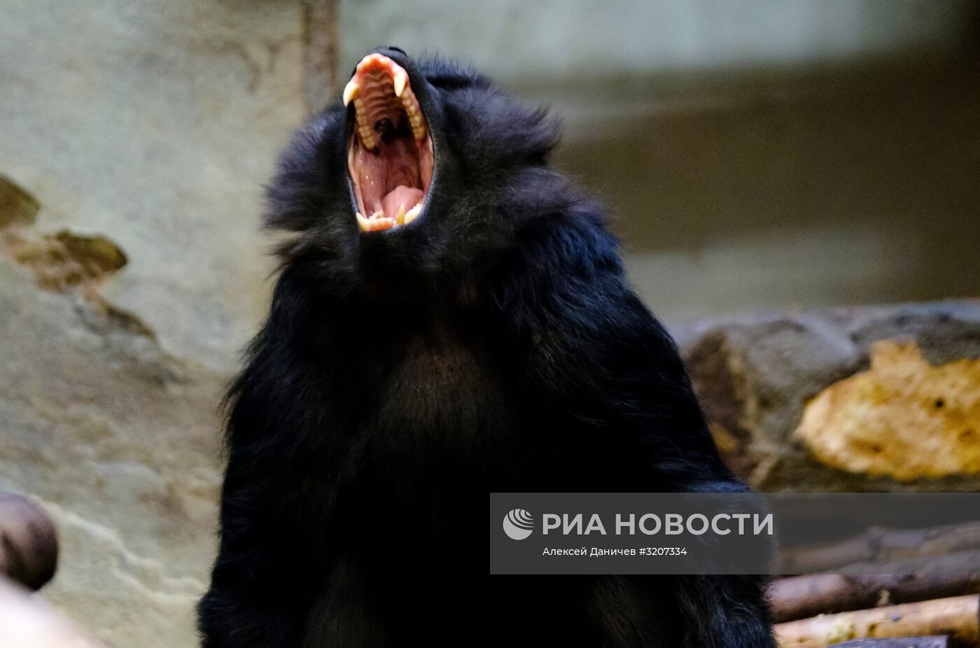 Ленинградский зоопарк