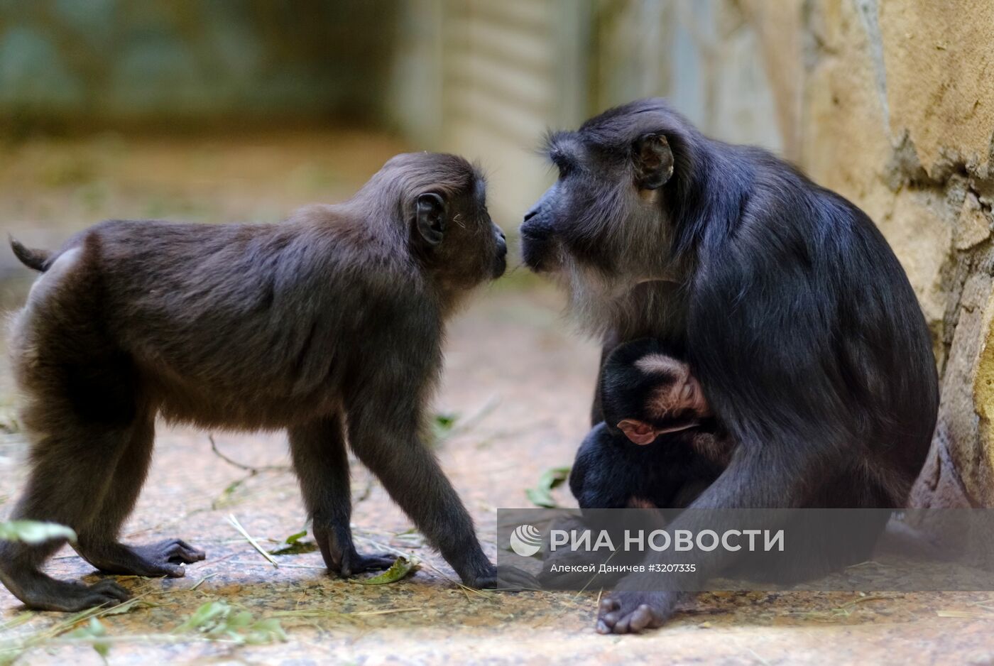 Ленинградский зоопарк