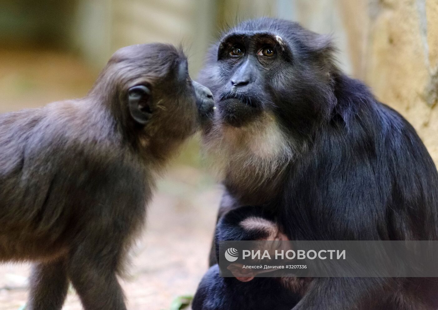 Ленинградский зоопарк