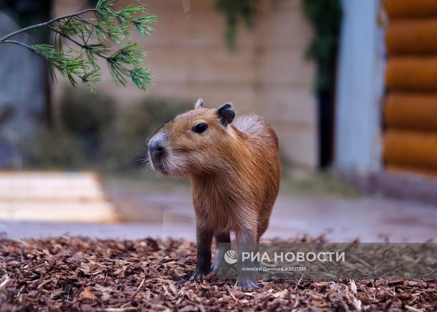 Ленинградский зоопарк