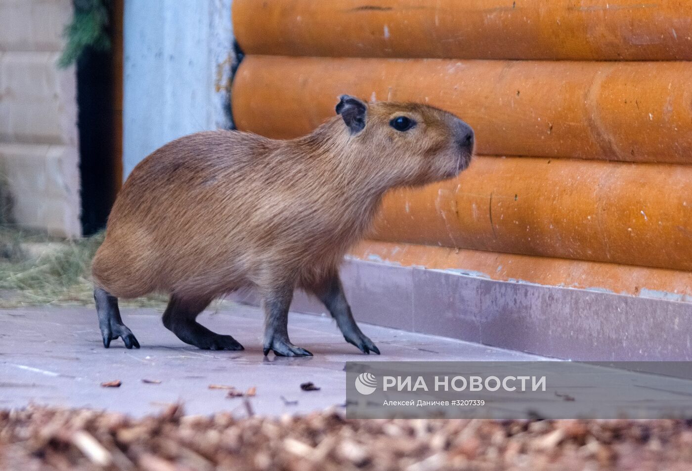 Ленинградский зоопарк