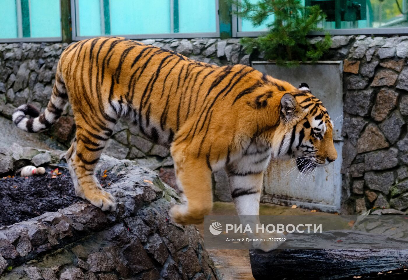 Ленинградский зоопарк