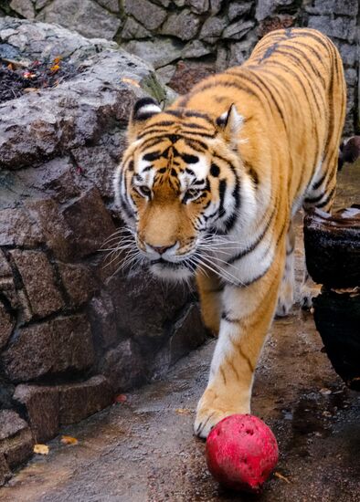 Ленинградский зоопарк