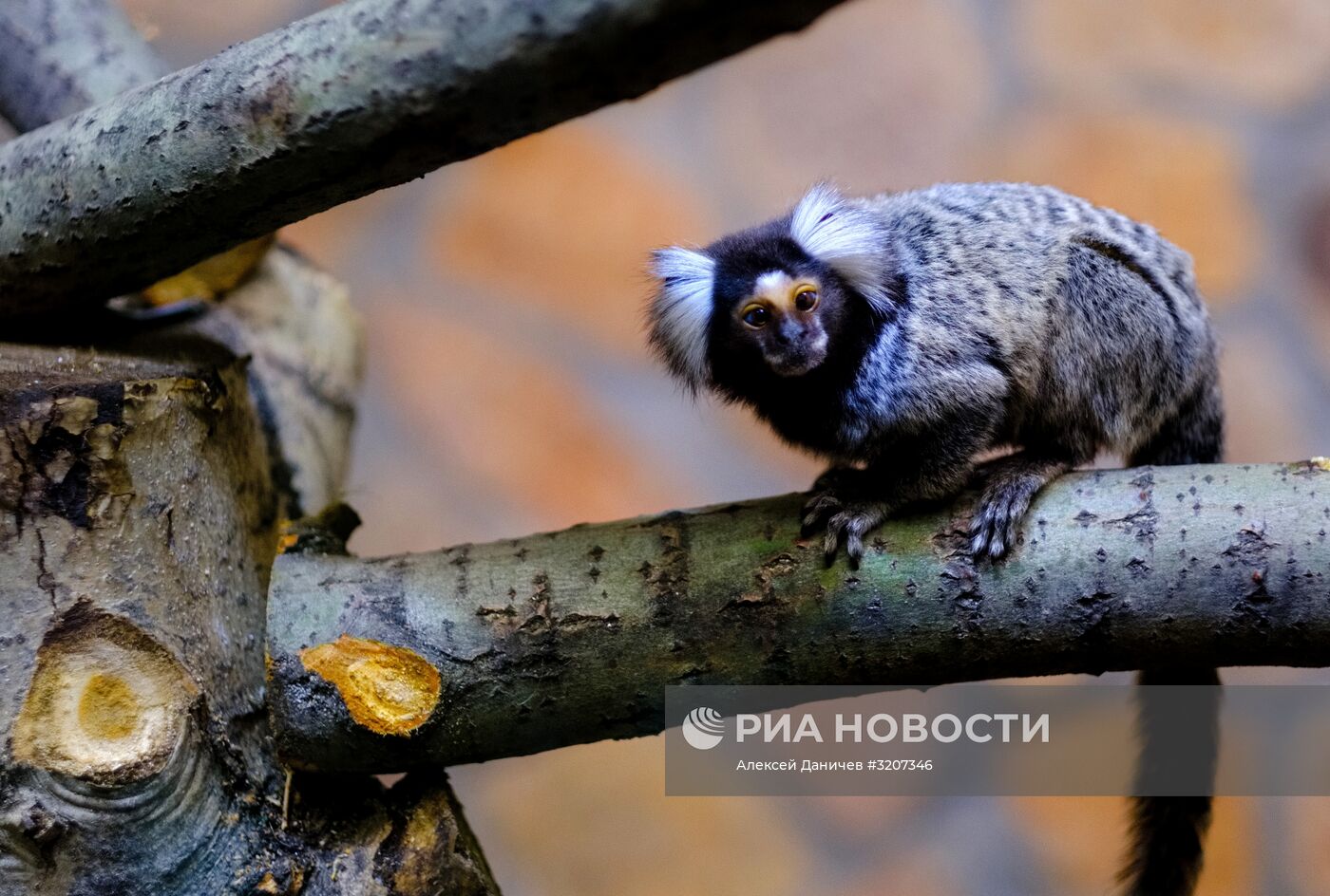 Ленинградский зоопарк