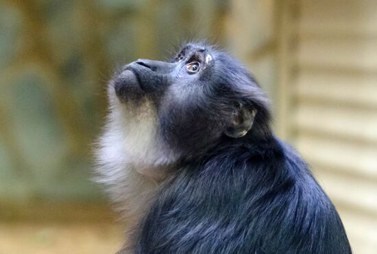 Ленинградский зоопарк