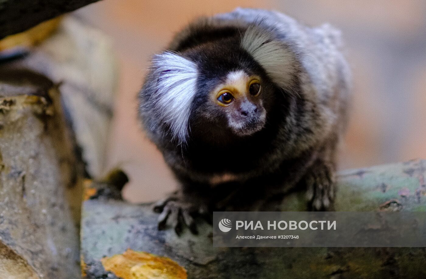 Ленинградский зоопарк