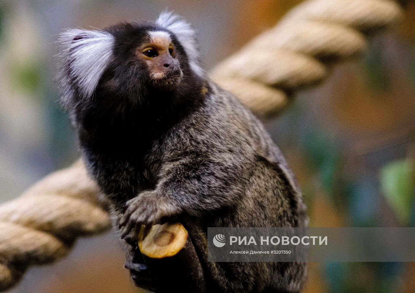 Ленинградский зоопарк