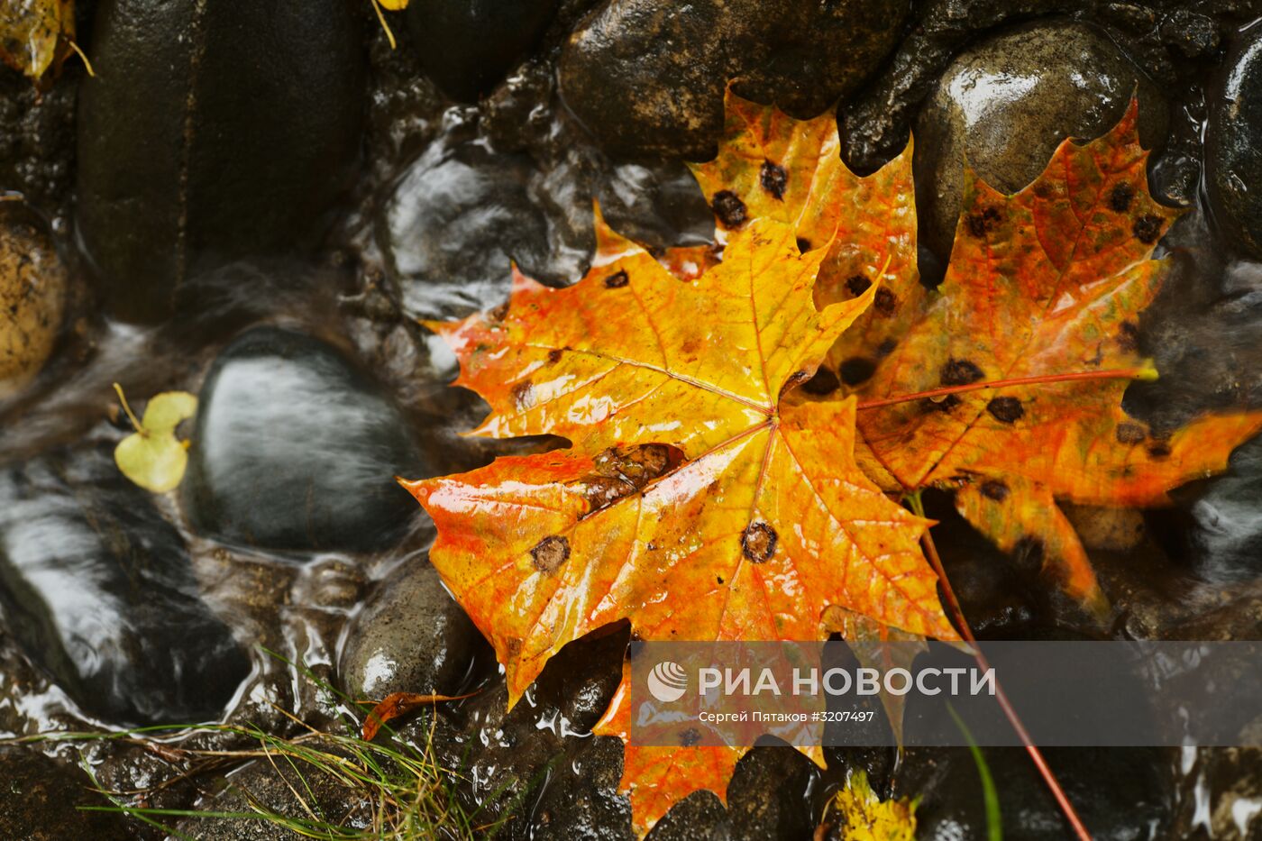 Осень в парке "Царицыно"
