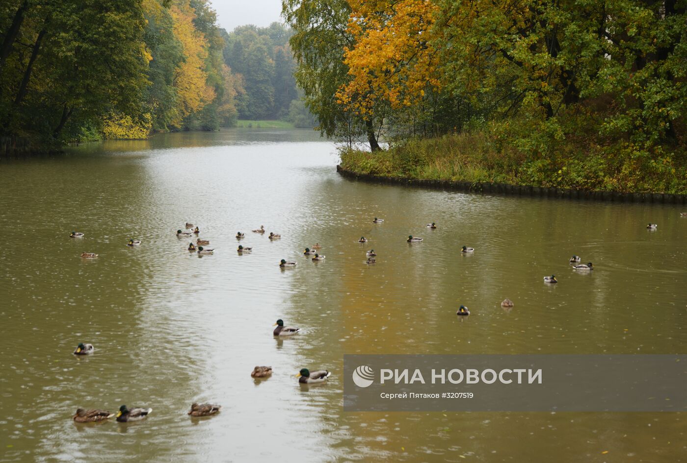 Осень в парке "Царицыно"