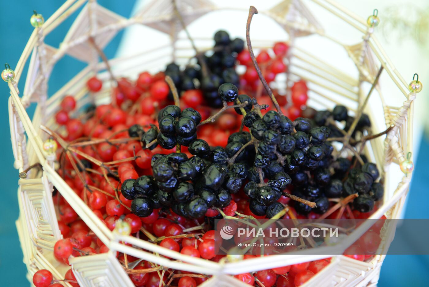 "Праздник урожая" в Хабаровске