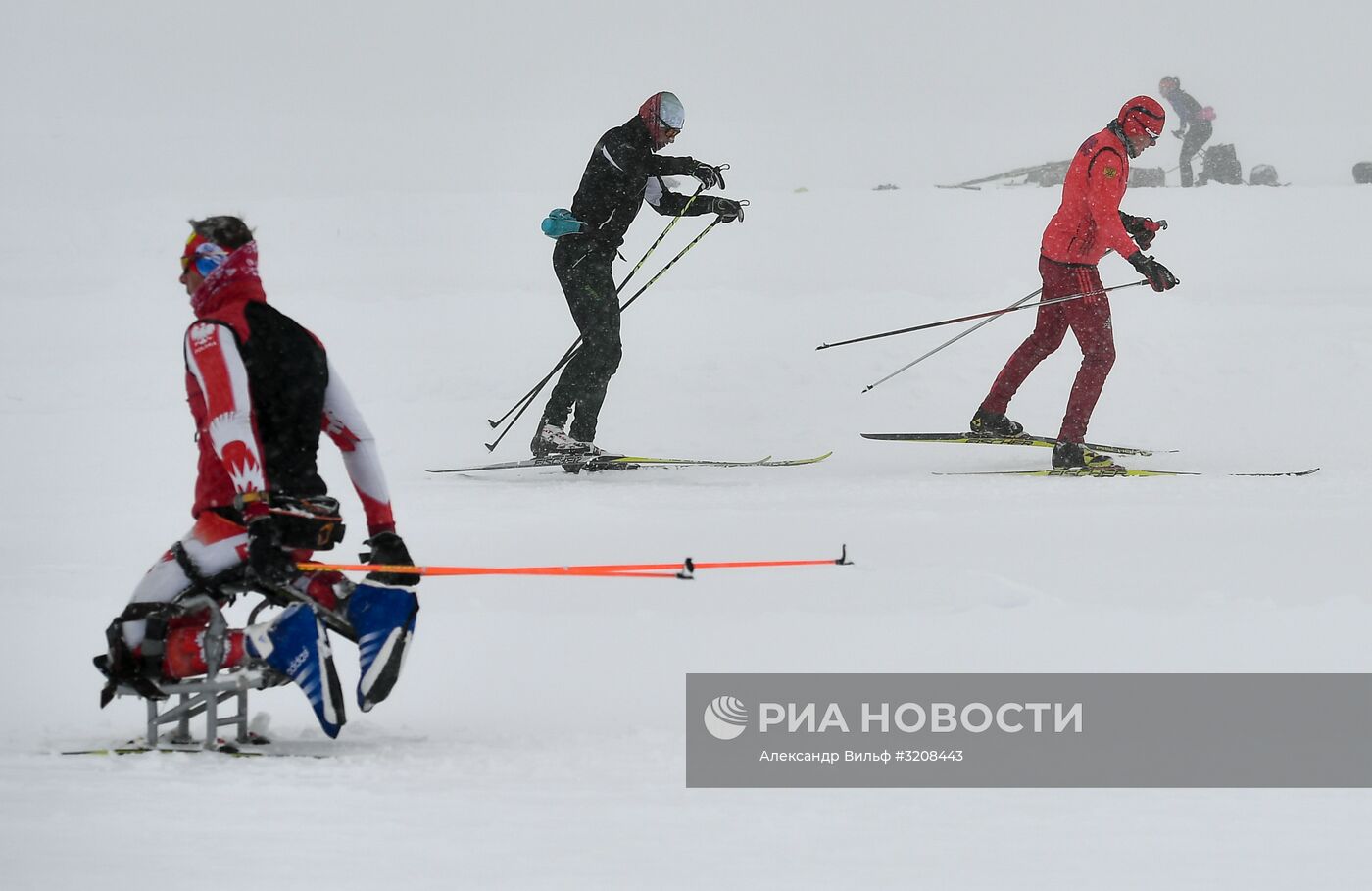 Тренировочный сбор сборной России по лыжным гонкам в Австрии