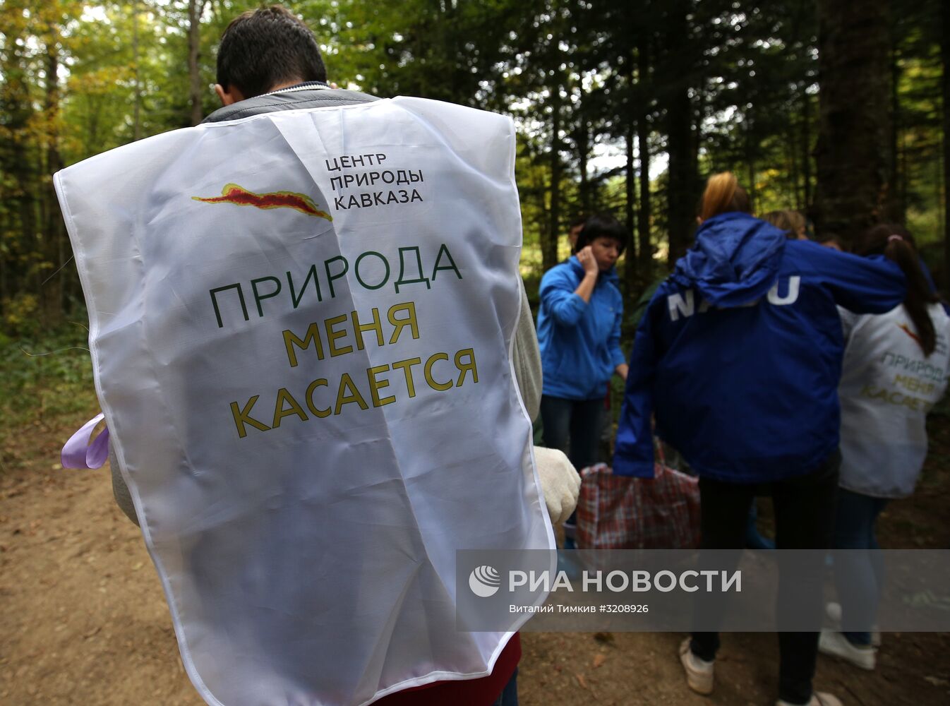 Высадка саженцев самшита в Адыгее