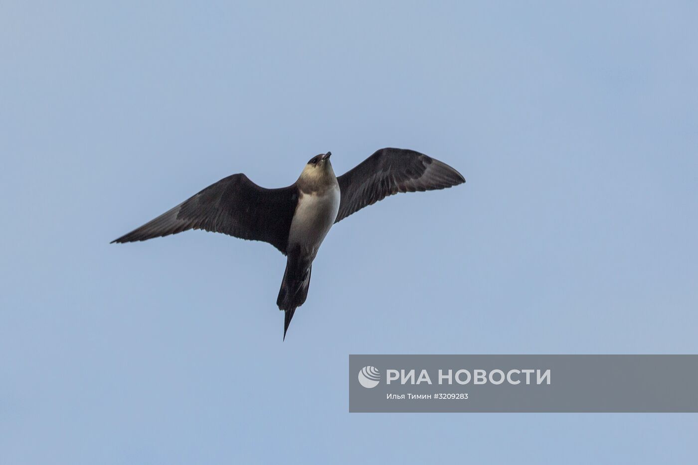 Архипелаг Земля Франца-Иосифа