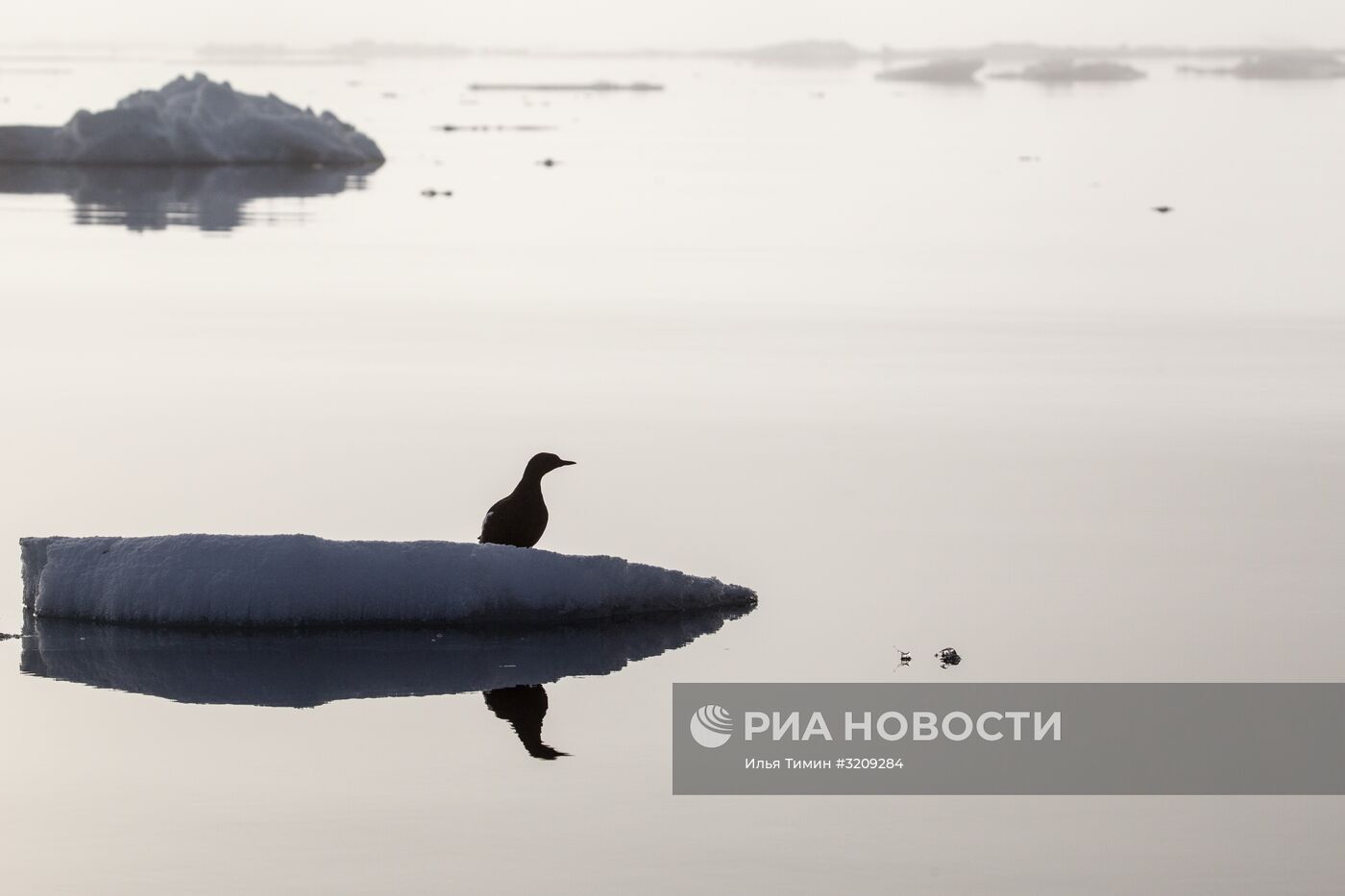 Архипелаг Земля Франца-Иосифа