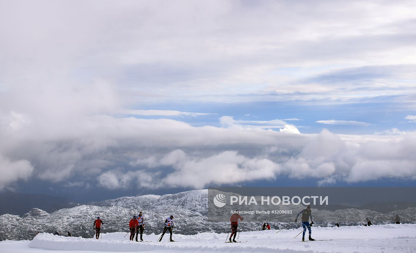 Лыжные гонки. Тренировочный сбор национальной команды