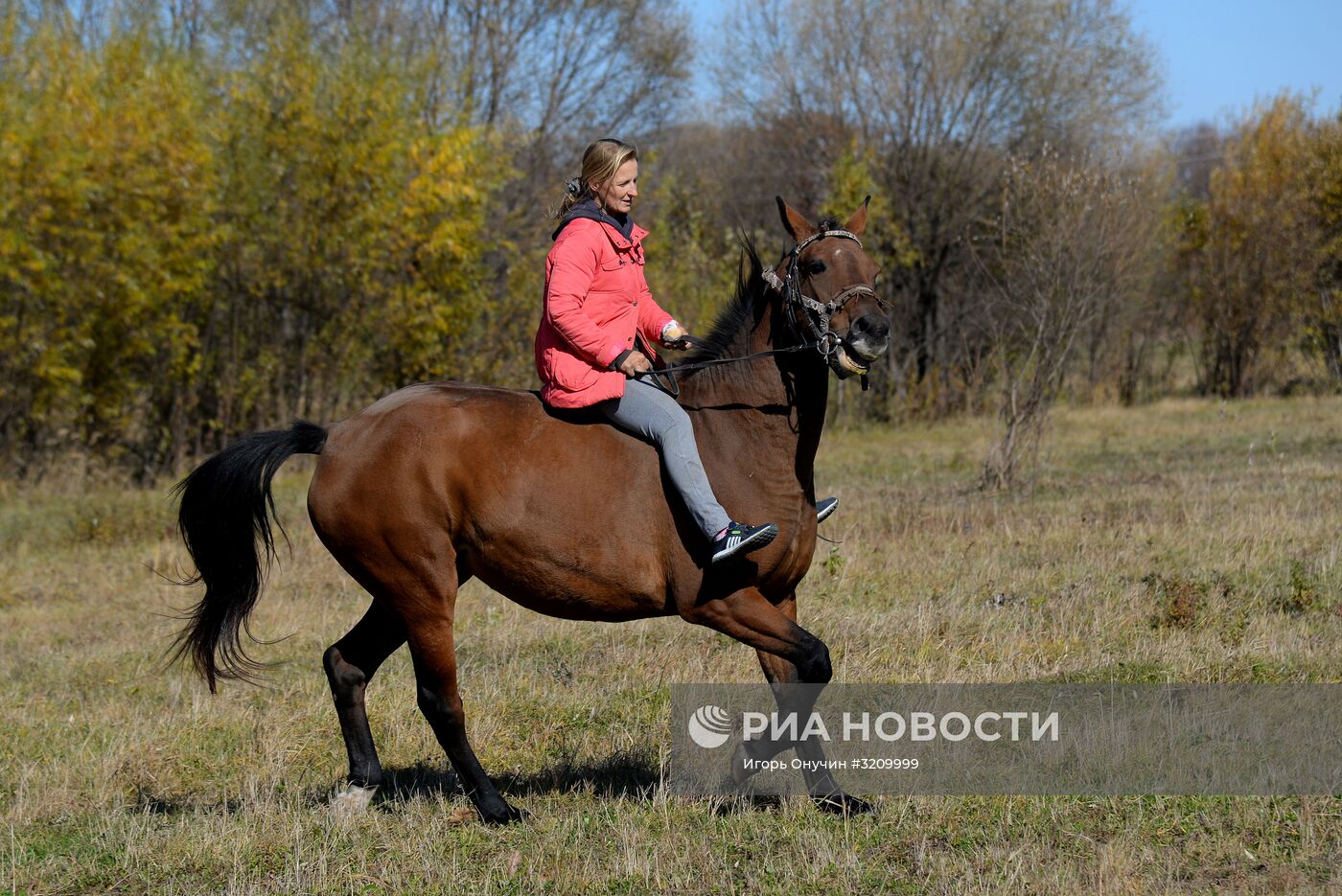 Разведение лошадей на "дальневосточном гектаре" в Хабаровском крае