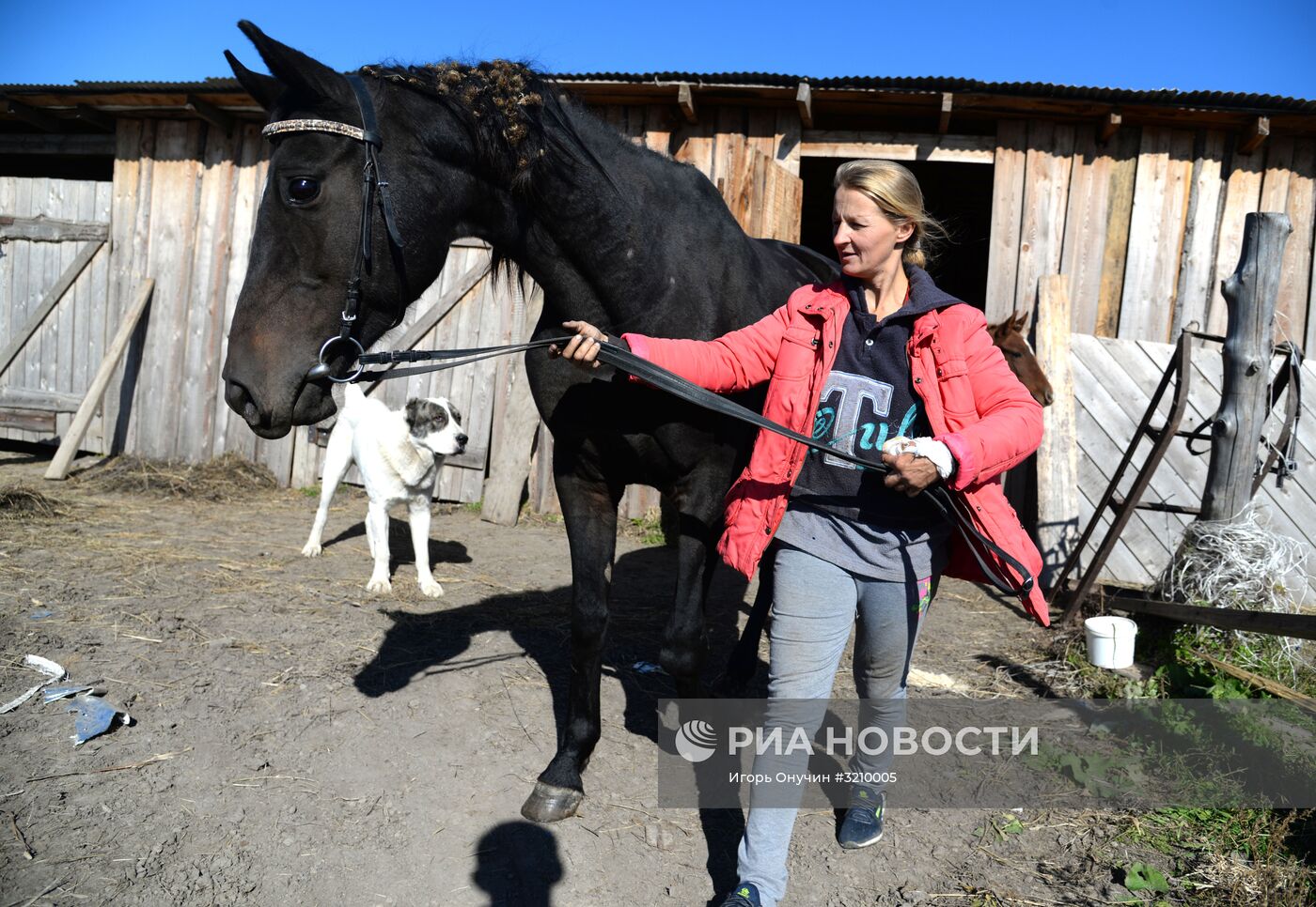 Разведение лошадей на "дальневосточном гектаре" в Хабаровском крае
