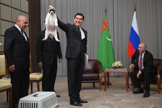 Президент РФ В. Путин встретился с президентом Туркмении Г. Бердымухамедовым