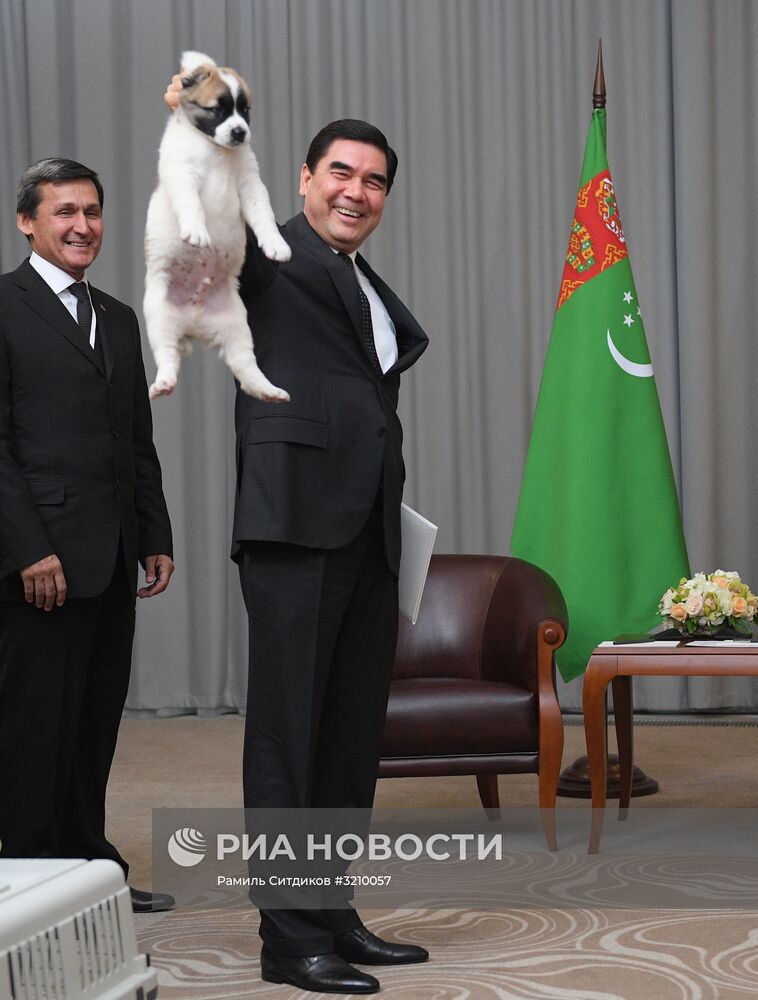 Президент РФ В. Путин встретился с президентом Туркмении Г. Бердымухамедовым
