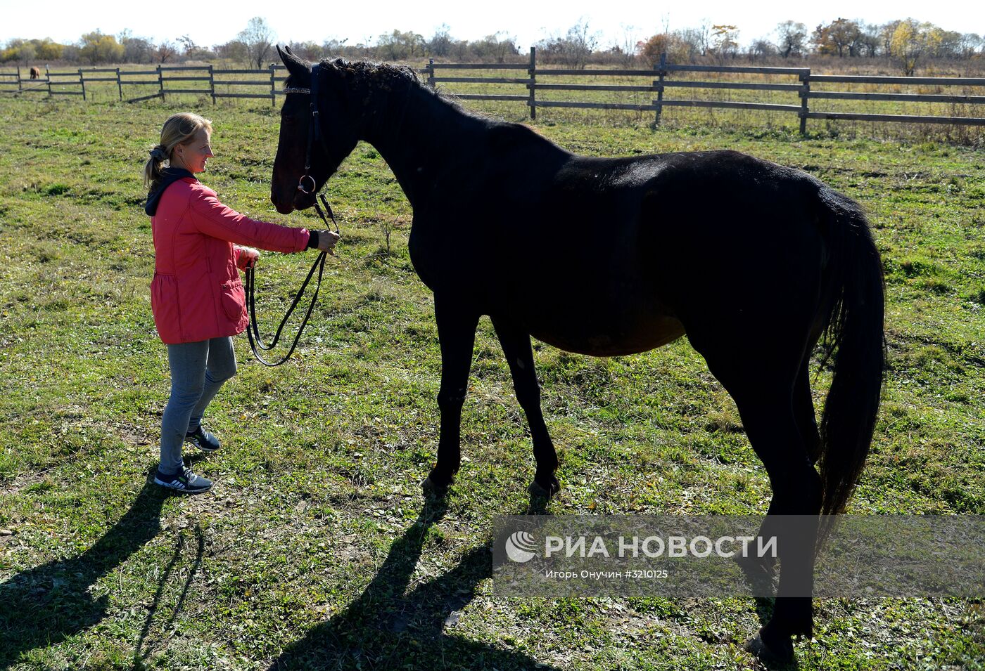 Разведение лошадей на "дальневосточном гектаре" в Хабаровском крае