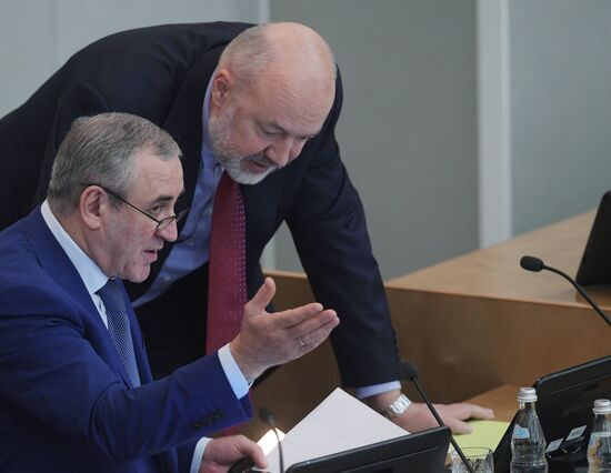 Пленарное заседание Госдумы РФ