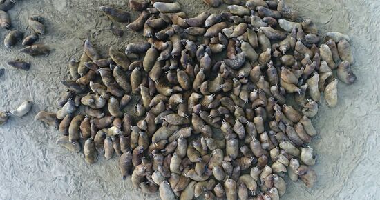 Архипелаг Земля Франца-Иосифа