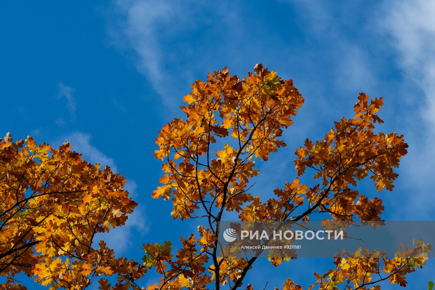 Осень в Санкт-Петербурге