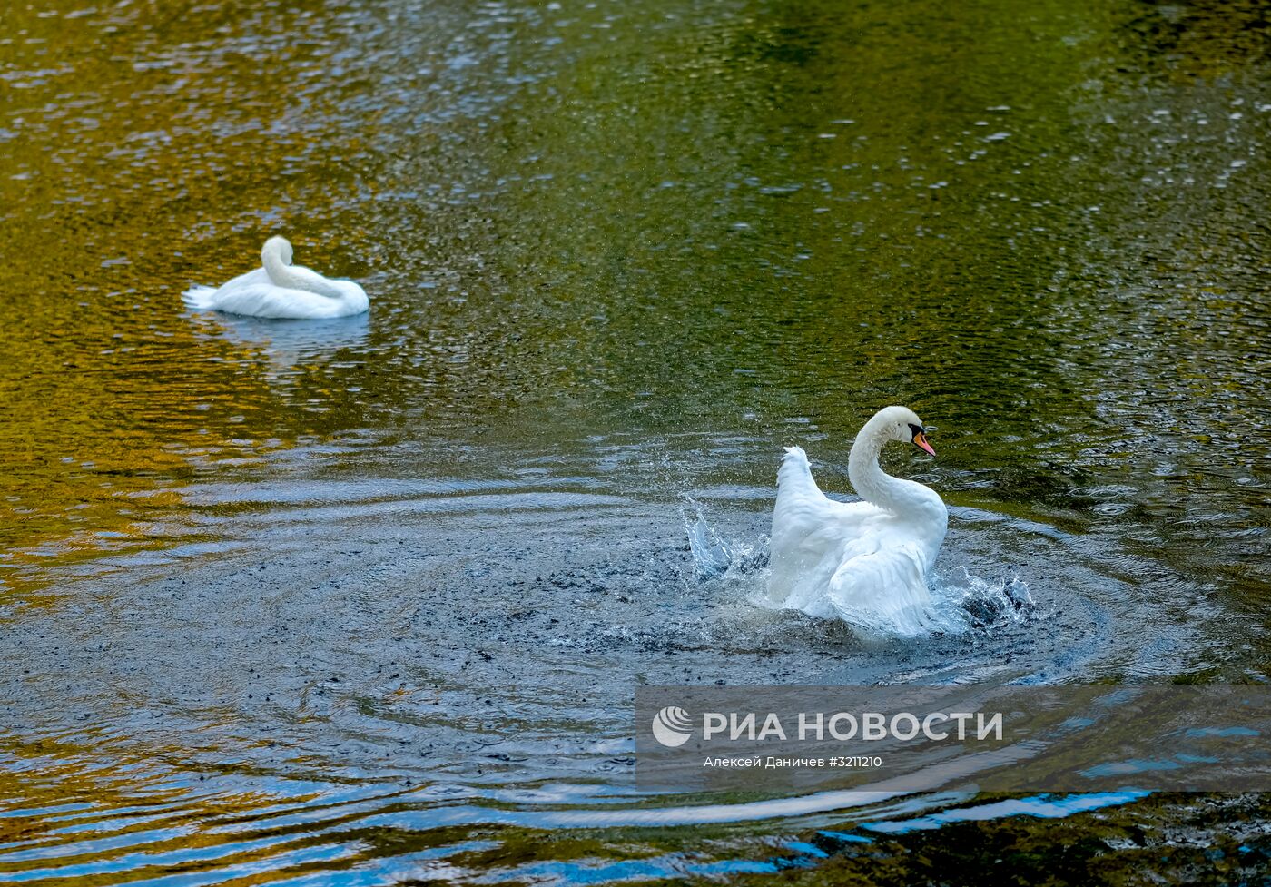 Осень в Санкт-Петербурге