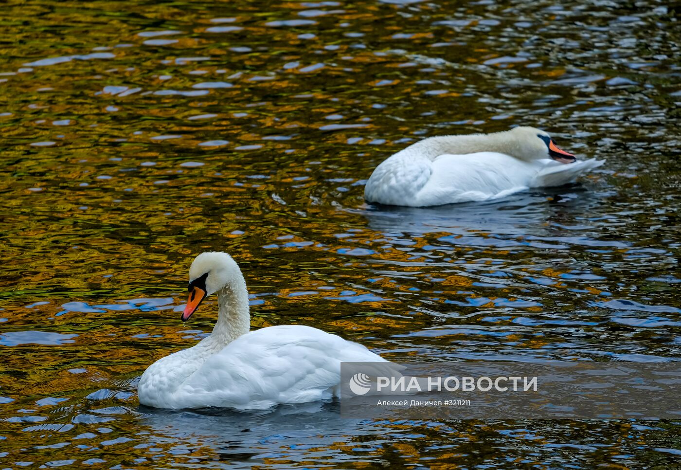 Осень в Санкт-Петербурге