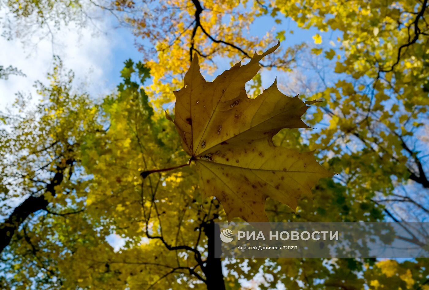 Осень в Санкт-Петербурге