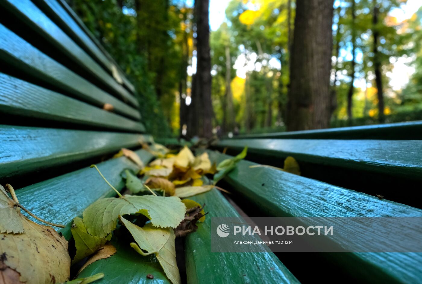 Осень в Санкт-Петербурге