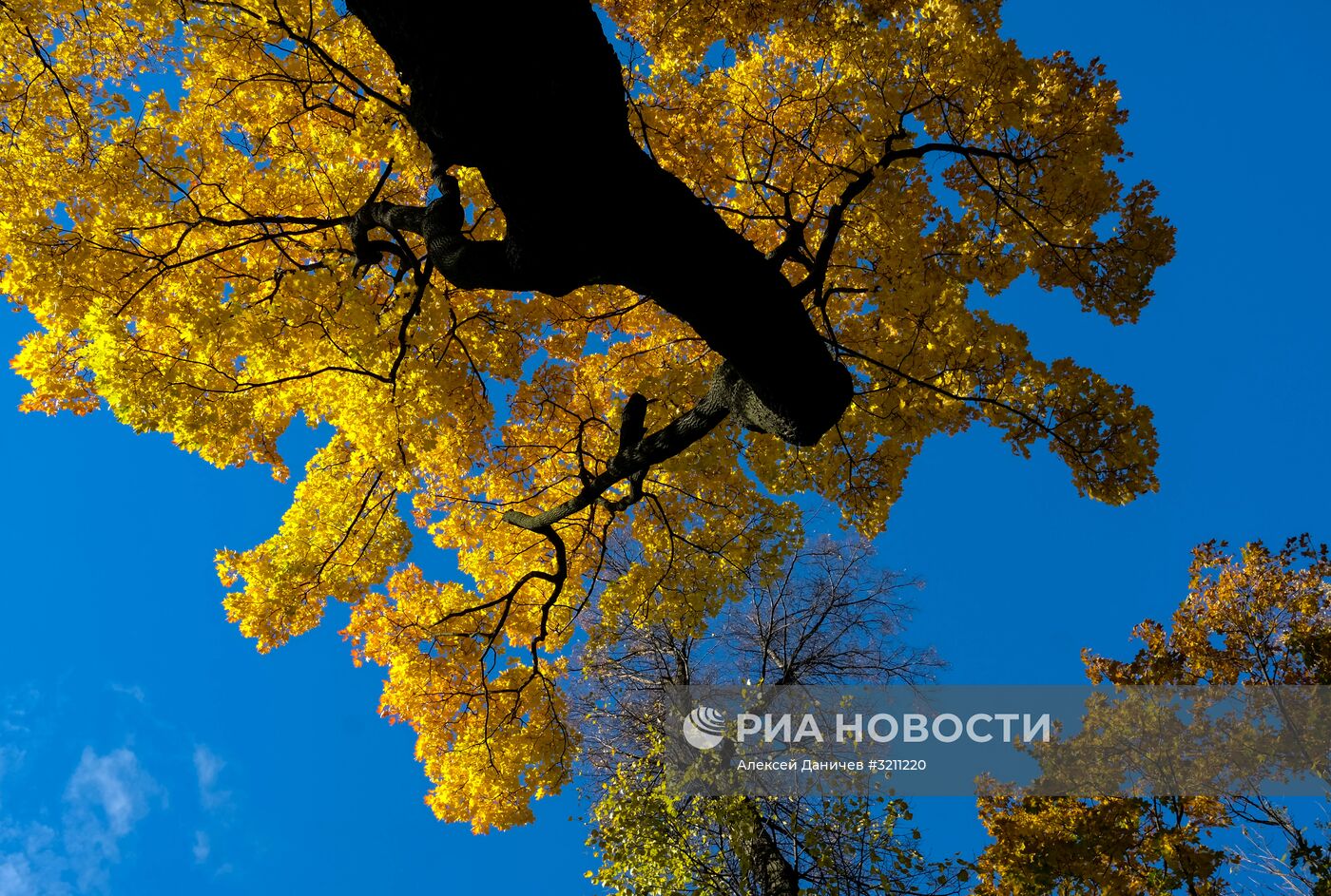 Осень в Санкт-Петербурге
