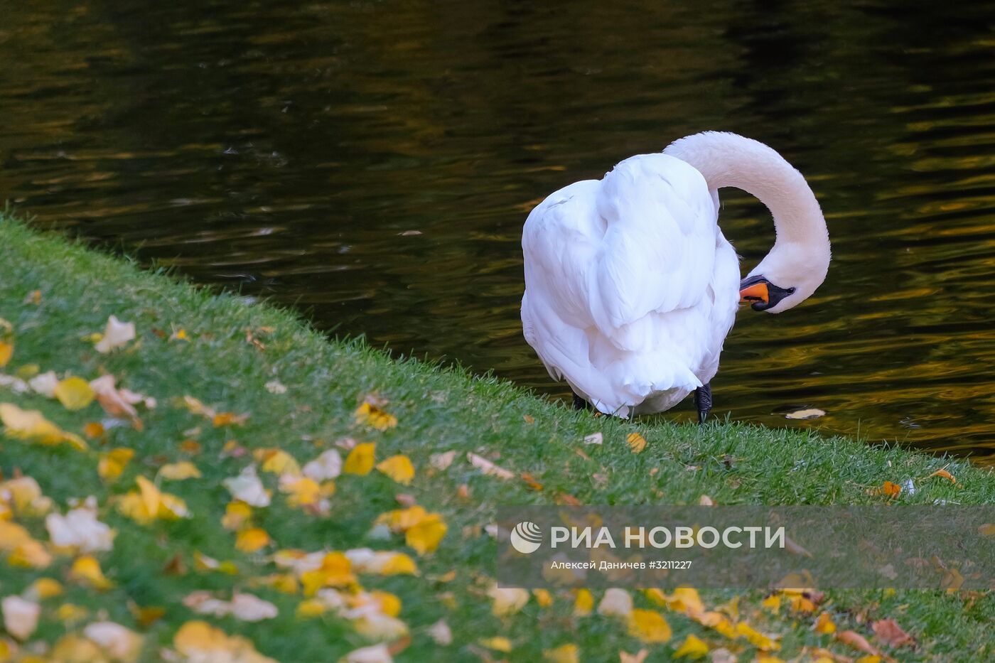 Осень в Санкт-Петербурге