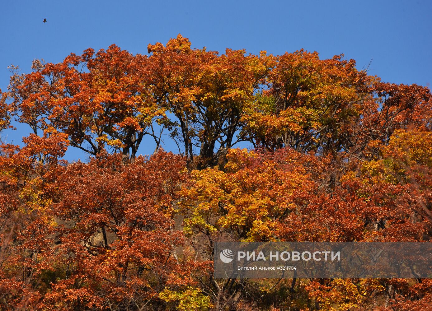 Осень в Приморском крае