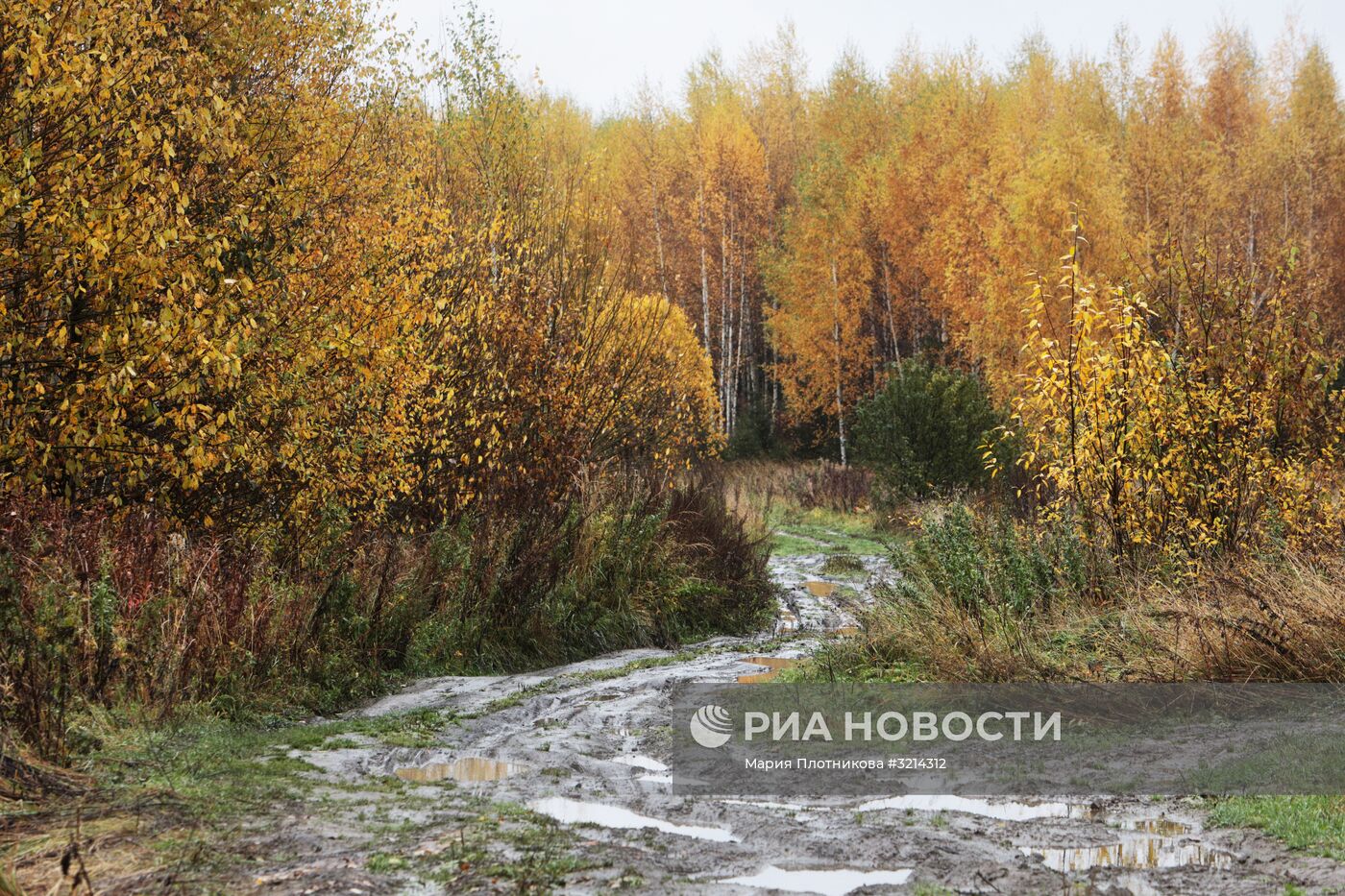 Золотая осень в Плёсе