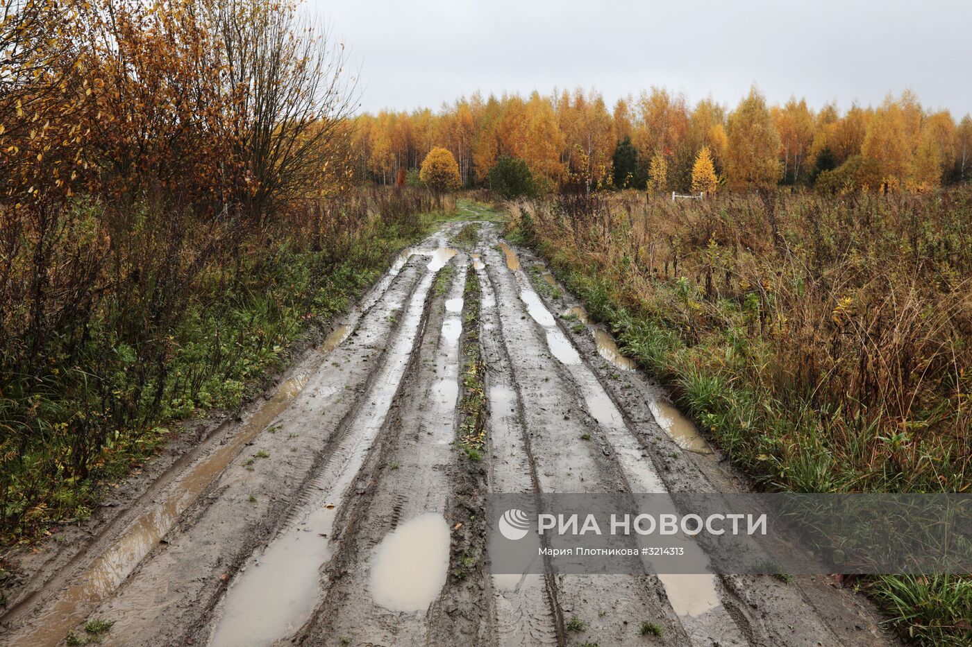 Золотая осень в Плёсе