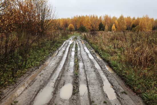 Золотая осень в Плёсе