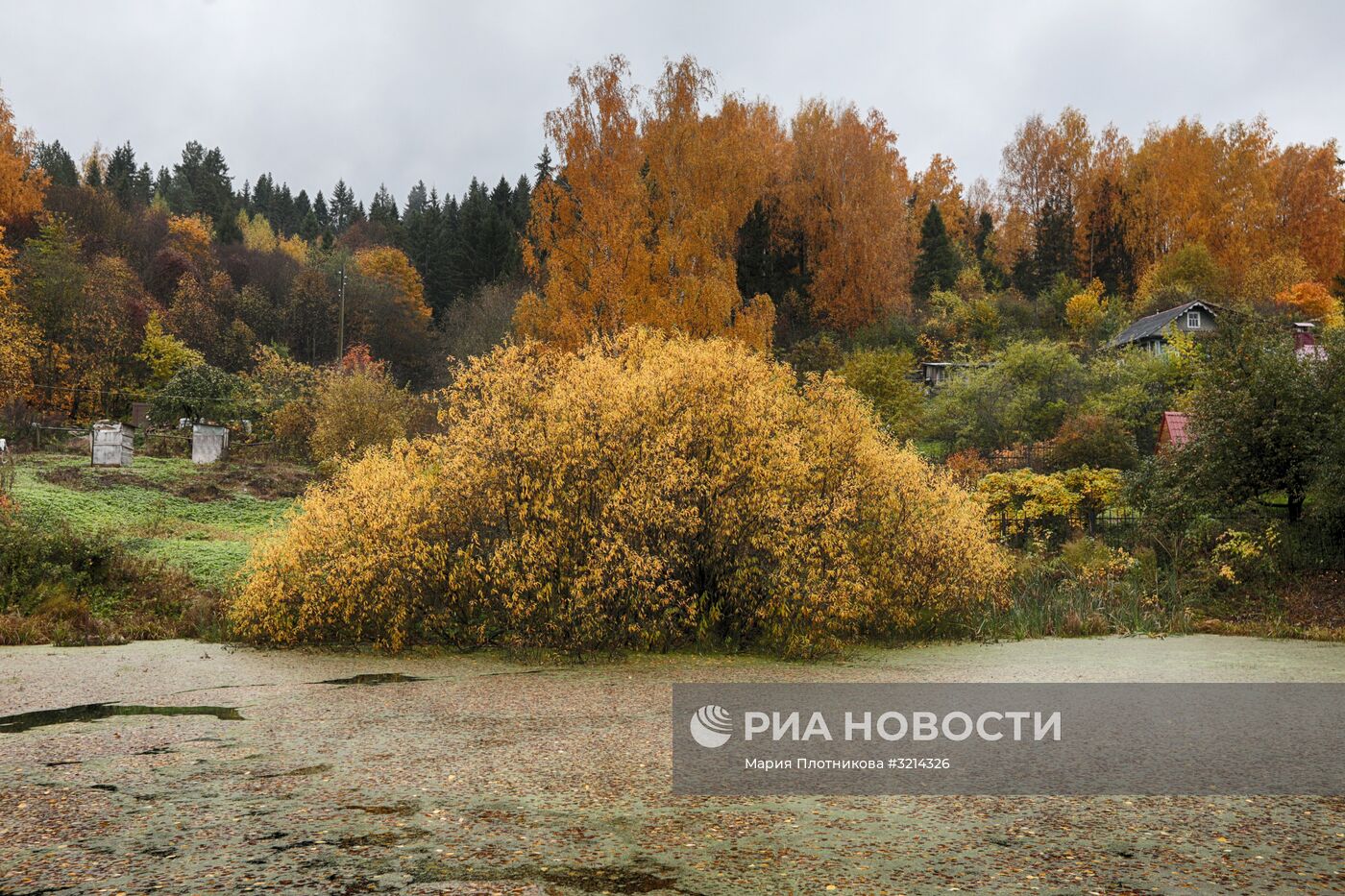 Золотая осень в Плёсе