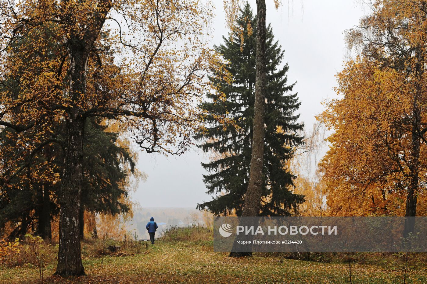 Золотая осень в Плёсе