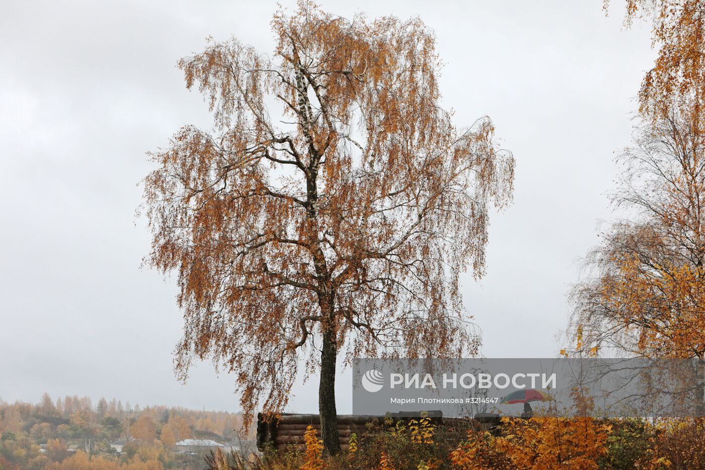 Золотая осень в Плёсе