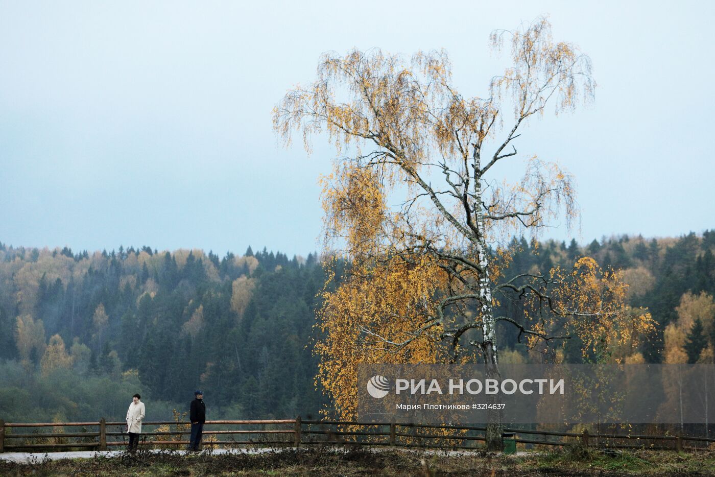 Золотая осень в Плёсе