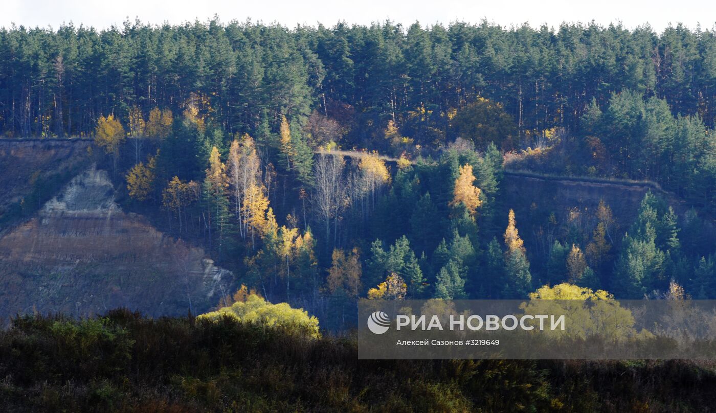 Осень в Воронежской области
