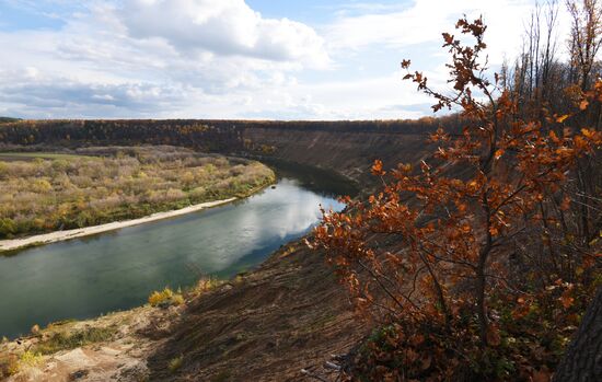 Осень в Воронежской области