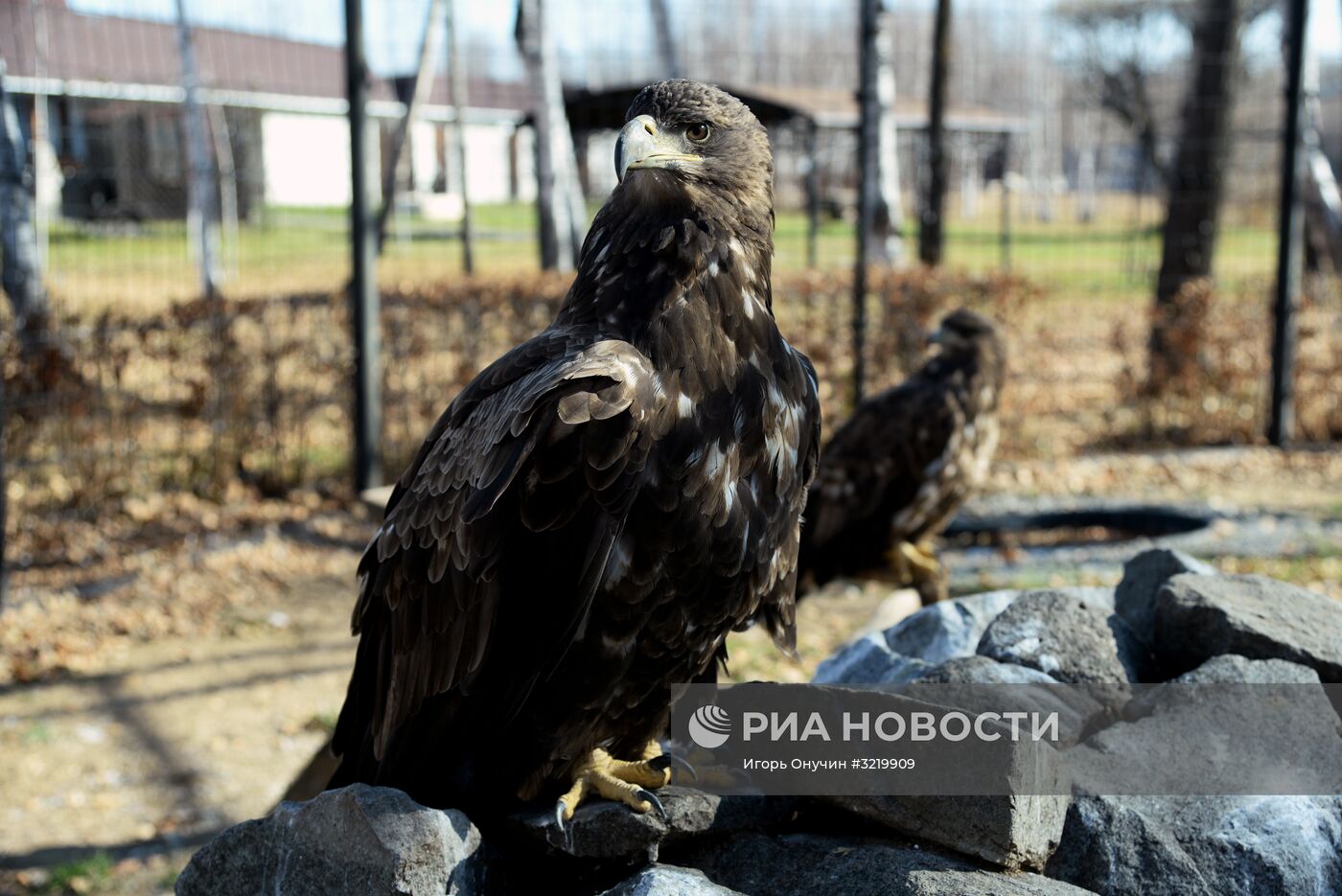 Туристский комплекс "Старая мельница" в Хабаровском крае