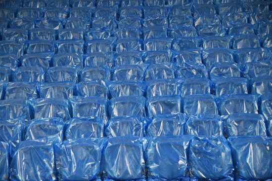 Реконструкция стадиона "Динамо"