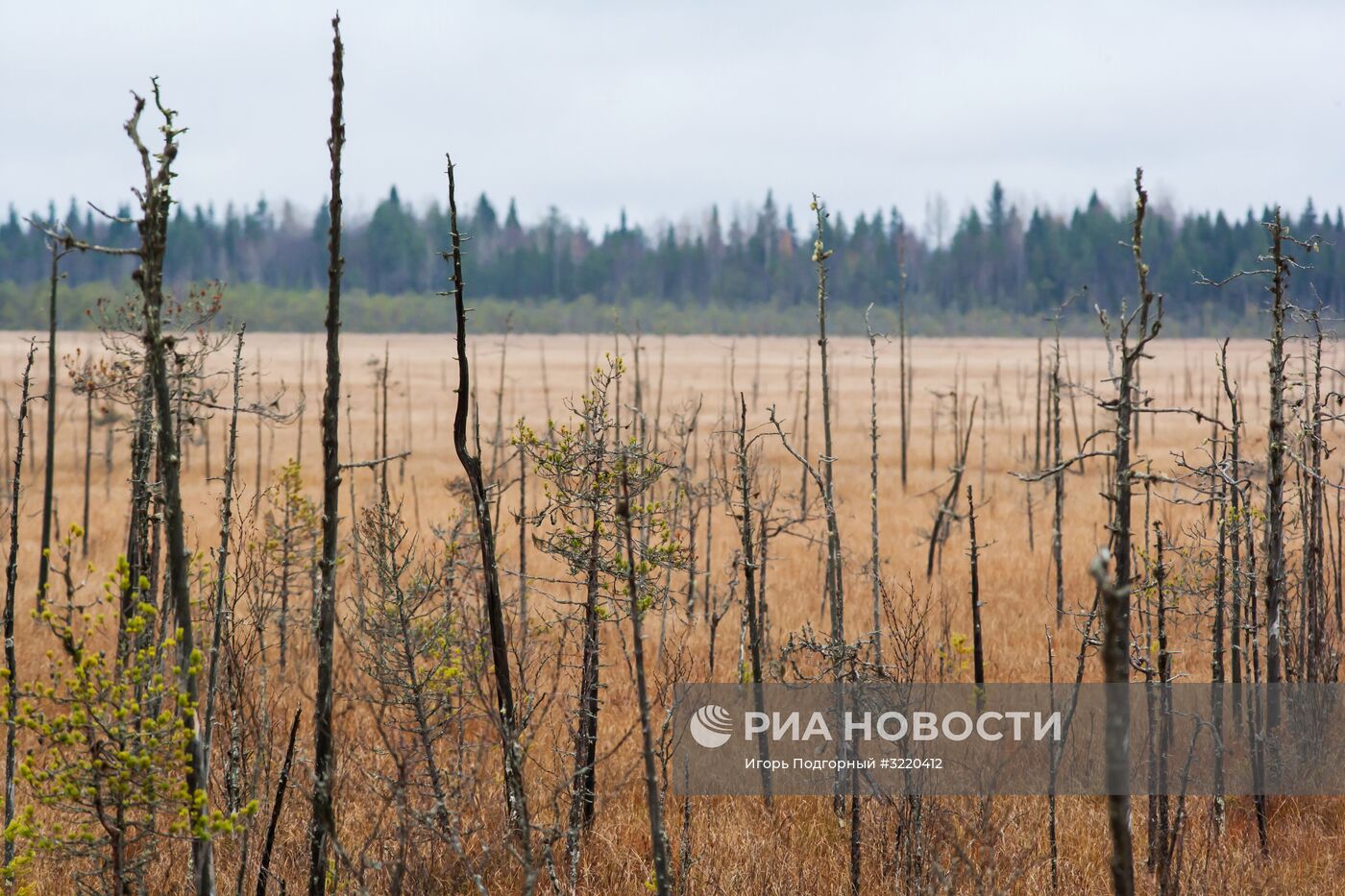 Осень в Карелии